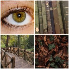 four different pictures with leaves, books and an eye in the middle one has green eyes