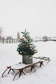 a small christmas tree sitting on top of a sled in the snow