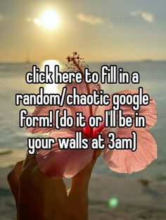 someone holding up a pink flower in front of the ocean with text that reads, click here to fill in a random / chaotic google form