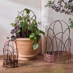 three wire planters sitting on top of a wooden table next to a potted plant