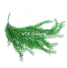 green leaves on white background with the words vck greens