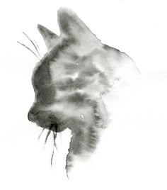 a black and white photo of a cat's head