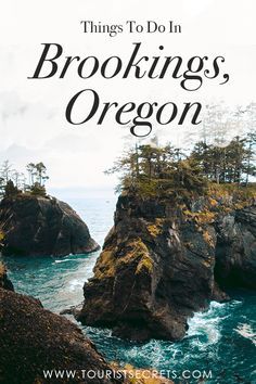 the coastline with text that reads things to do in brookings, oregon