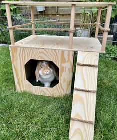 a rabbit in a wooden house on the grass