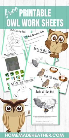 an owl worksheet with owls and other animals