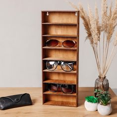 a wooden shelf with sunglasses on it next to a potted plant and eyeglasses