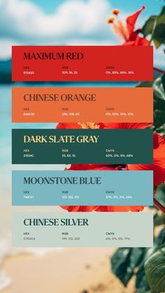 Colors:
D12420
E66C3C
21534C
7AB7C1
C7D4CA Inspiration Typographie, Hex Color Palette, Hex Color, Good Color Combinations, Best Of Luck