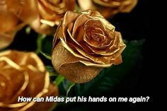 some gold colored flowers on a blue and black background with one flower in the foreground