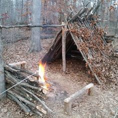 a small fire pit in the woods with sticks and logs on it's sides