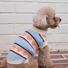 a poodle wearing a sweater sits on the ground in front of a brick wall