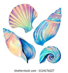 three seashells painted in watercolor on white background