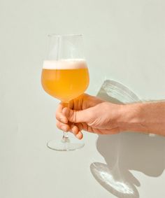 a person holding a glass of beer in their hand