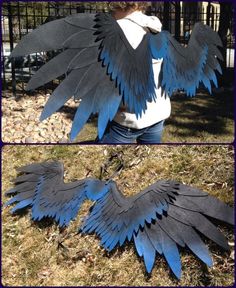 two pictures of the same bird with different colors on it's wings, one is blue and the other is black