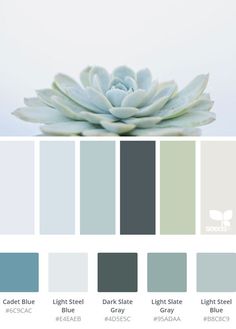 the color palette is light blue, dark grey, gray and white with a flower on top