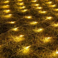 some lights that are on the grass in the night time, and it looks like they're glowing