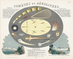 an illustration of some type of fish in a circle with the words comet and aerulithes on it