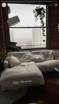 a white couch sitting in front of a large window next to a potted plant