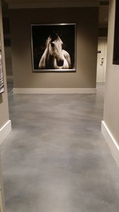 an empty room with two pictures on the wall and a horse in the middle of the room