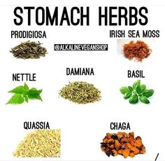 Dr Sabi, Nervous Stomach, Irish Sea Moss, Digestive Issues, Dr Sebi, Irritable Bowel, Irish Sea, Alkaline Diet