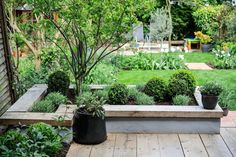 an outdoor garden with wooden benches and plants