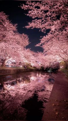 the trees are blooming and reflecting in the water at night time, with lights shining on them