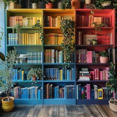 colorful bookshelves with plants and potted plants in the middle on wooden flooring