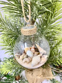 a glass ornament filled with seashells hanging from a christmas tree branch