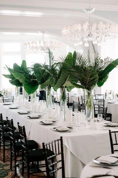 the tables are set with white tablecloths and black chairs, green plants in clear vases