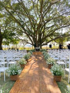 an outdoor ceremony set up with white chairs and flowers on the ground under a large tree