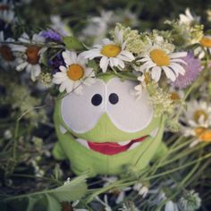 a stuffed animal with flowers in it's hair sitting on the ground next to daisies