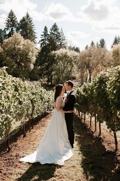 a newly married couple standing in the middle of a vineyard