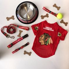 the chicago black hawks dog shirt is next to its bowl and leash