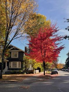 trees with red leaves line the street in front of a black house on a sunny day