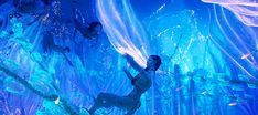 Posts tagged with #avatar the way of water Avatar Banner, Long Gif, In This Moment, Water