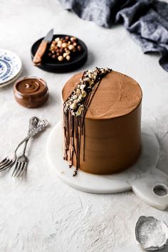 there is a chocolate cake with nuts on top