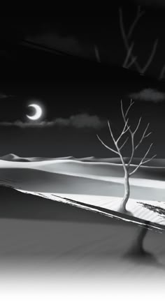 a lone tree stands in the middle of a snowy landscape at night with a half moon