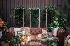 a living room filled with lots of plants and candles