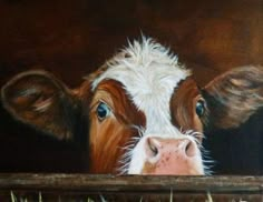 a painting of a brown and white cow peeking out from behind a wooden fence with grass in the foreground