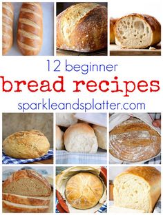 breads and loaves are shown with the words, 12 beginner bread recipes