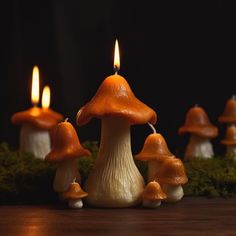 candles are lit in the shape of mushrooms