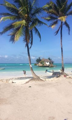 two palm trees on the beach with people in the water and houses in the background