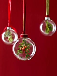 three glass ornaments hanging from a red wall with green leaves and berries in them, each ornament shaped like a ball