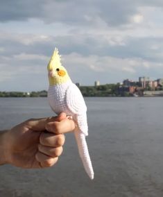 a hand holding a white and yellow bird on top of it's finger next to the water