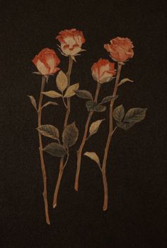 three red roses with green leaves on a black background