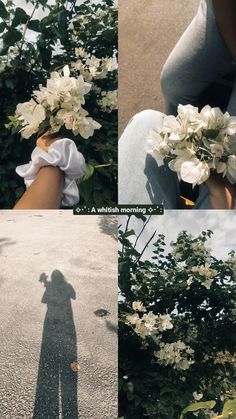 four different pictures with the shadow of a person holding flowers