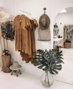 there is a vase with plants in it and clothes hanging on the wall