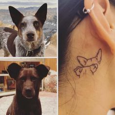 three pictures of dogs with tattoos on their ears and behind them is a woman's ear