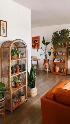 a living room filled with lots of potted plants next to a brown couch and bookshelf