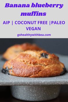 banana blueberry muffins with text overlay that reads gluten free paleo / aip vegan