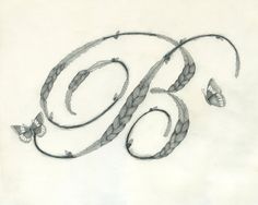 a drawing of the letter b made with braids and butterflies